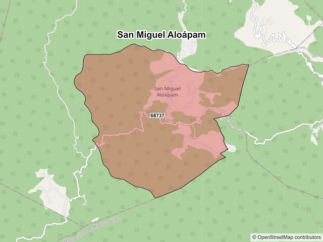Mapa de códigos postales de San Miguel Aloápam, Oaxaca