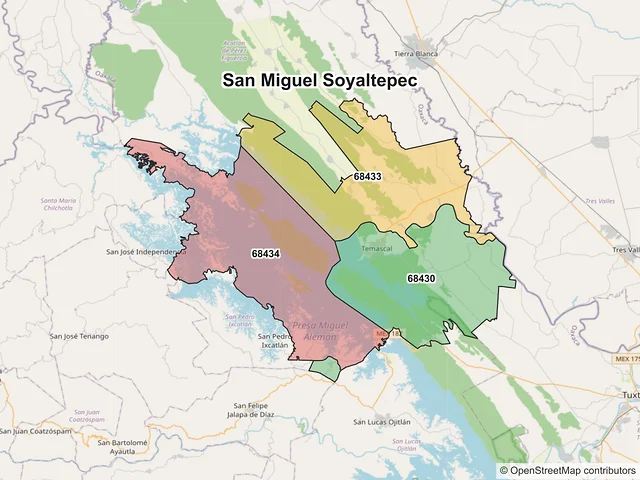 Mapa de códigos postales de San Miguel Soyaltepec, Oaxaca