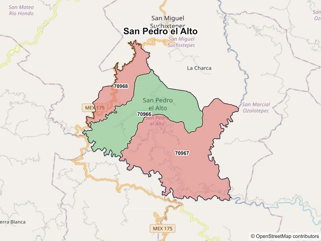 Mapa de códigos postales de San Pedro el Alto, Oaxaca