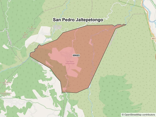 Mapa de códigos postales de San Pedro Jaltepetongo, Oaxaca