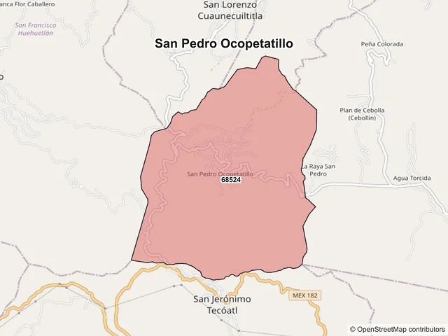 Mapa de códigos postales de San Pedro Ocopetatillo, Oaxaca