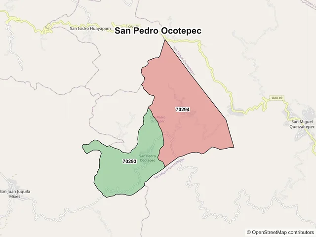 Mapa de códigos postales de San Pedro Ocotepec, Oaxaca