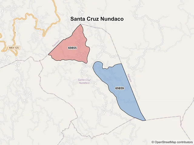 Mapa de códigos postales de Santa Cruz Nundaco, Oaxaca