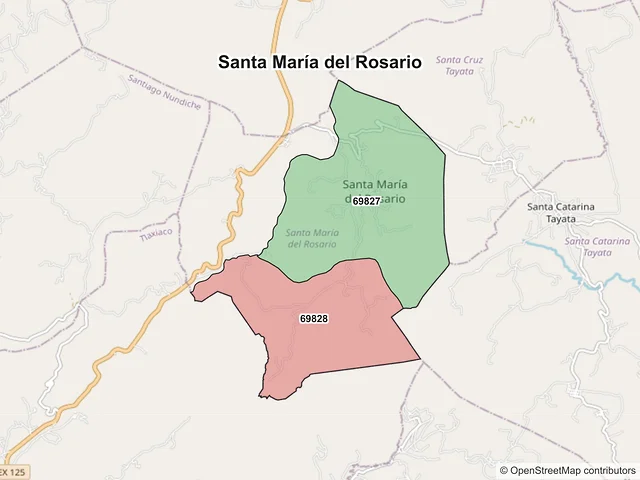 Mapa de códigos postales de Santa María del Rosario, Oaxaca
