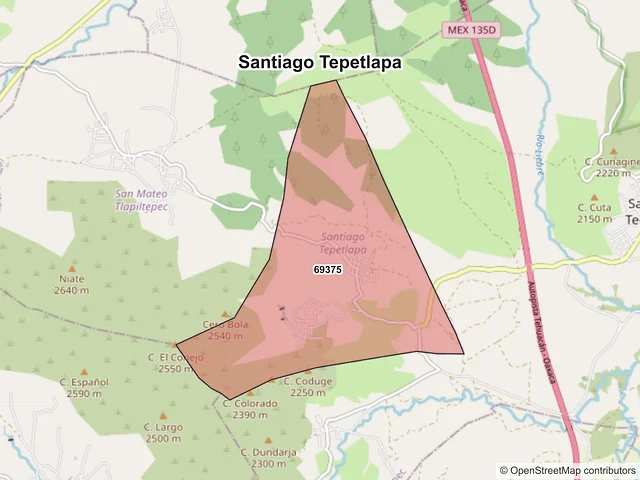 Mapa de códigos postales de Santiago Tepetlapa, Oaxaca