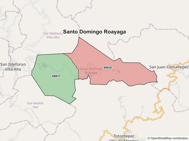 Mapa de códigos postales de Santo Domingo Roayaga, Oaxaca