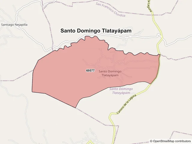 Mapa de códigos postales de Santo Domingo Tlatayápam, Oaxaca
