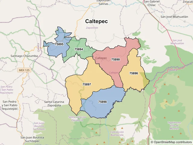 Mapa de códigos postales de Caltepec, Puebla