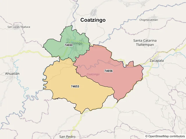 Mapa de códigos postales de Coatzingo, Puebla
