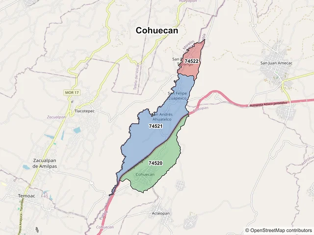 Mapa de códigos postales de Cohuecan, Puebla