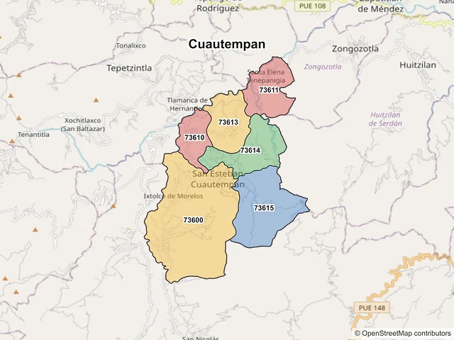 Mapa de códigos postales de Cuautempan, Puebla