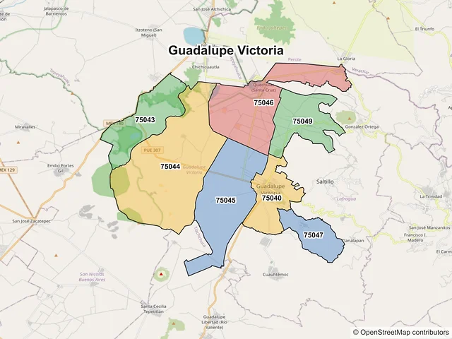 Mapa de códigos postales de Guadalupe Victoria, Puebla