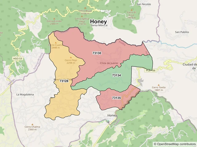 Mapa de códigos postales de Honey, Puebla