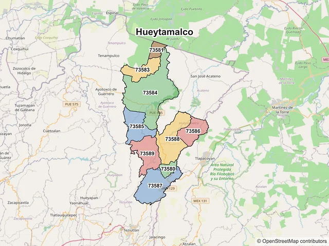 Mapa de códigos postales de Hueytamalco, Puebla