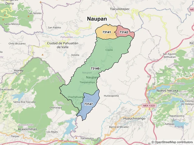 Mapa de códigos postales de Naupan, Puebla