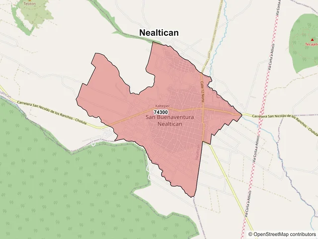 Mapa de códigos postales de Nealtican, Puebla