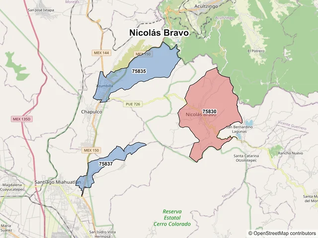 Mapa de códigos postales de Nicolás Bravo, Puebla