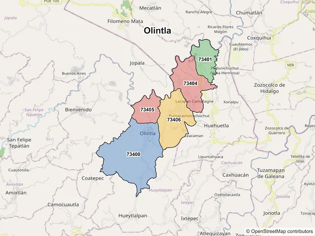 Mapa de códigos postales de Olintla, Puebla