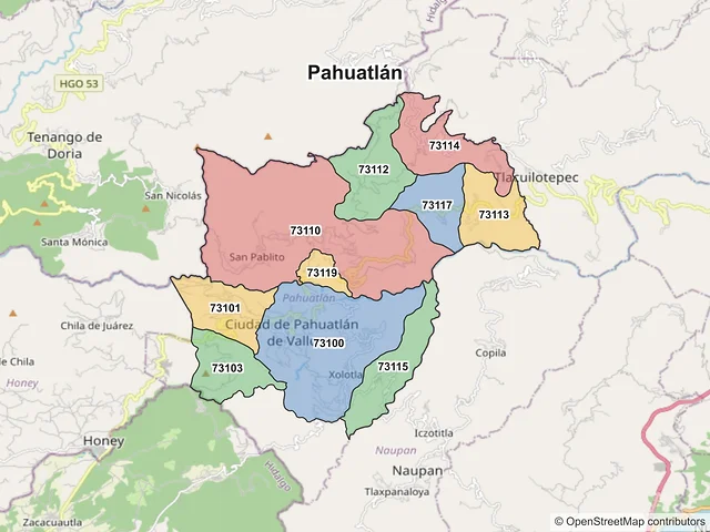 Mapa de códigos postales de Pahuatlán, Puebla