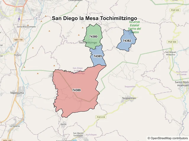 Mapa de códigos postales de San Diego la Mesa Tochimiltzingo, Puebla