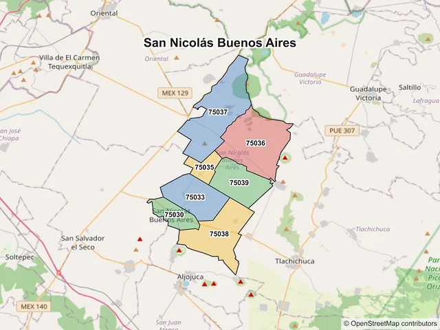 Mapa de códigos postales de San Nicolás Buenos Aires, Puebla
