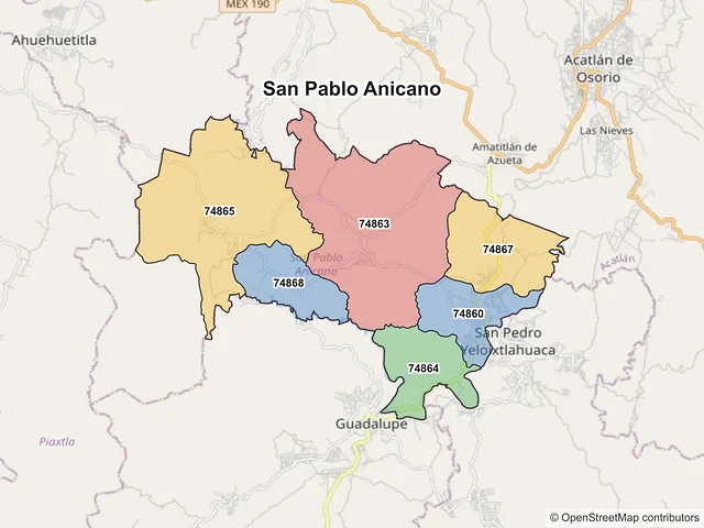 Mapa de códigos postales de San Pablo Anicano, Puebla