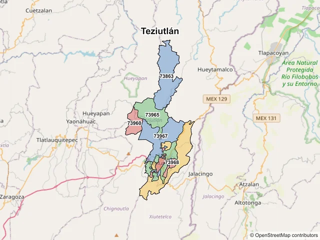Mapa de códigos postales de Teziutlán, Puebla