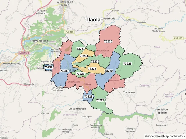 Mapa de códigos postales de Tlaola, Puebla