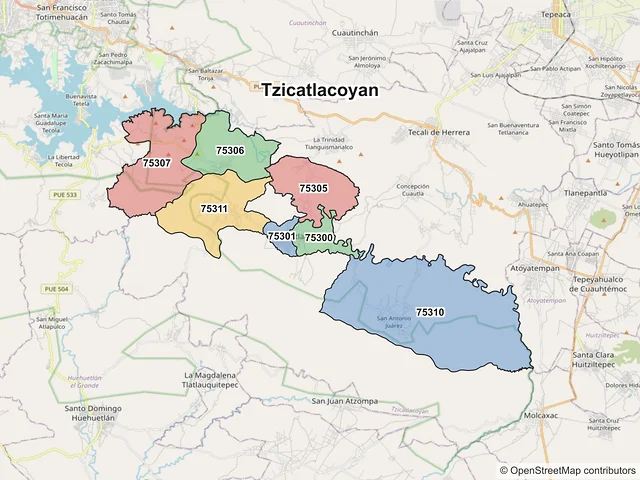 Mapa de códigos postales de Tzicatlacoyan, Puebla