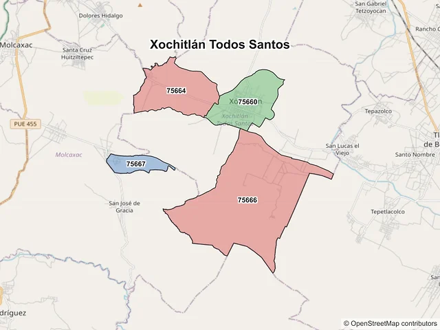 Mapa de códigos postales de Xochitlán Todos Santos, Puebla