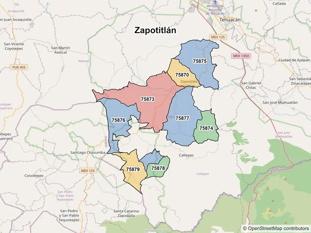 Mapa de códigos postales de Zapotitlán, Puebla