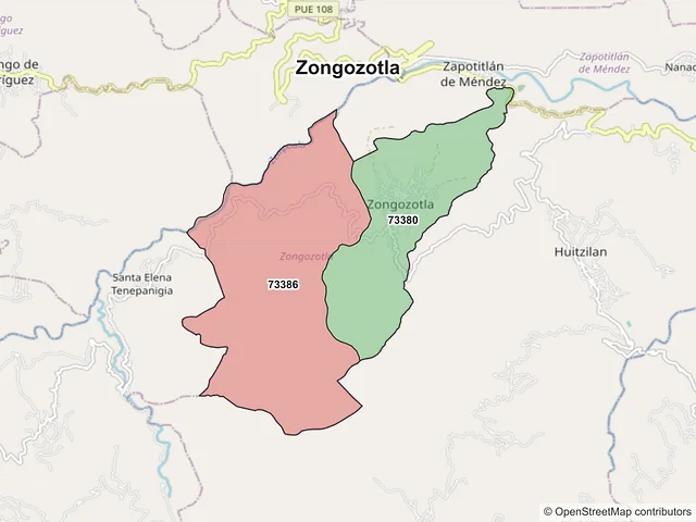 Mapa de códigos postales de Zongozotla, Puebla
