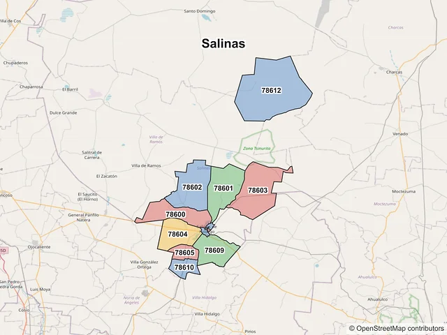 Mapa de códigos postales de Salinas, San Luis Potosí