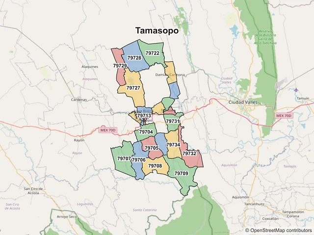 Mapa de códigos postales de Tamasopo, San Luis Potosí