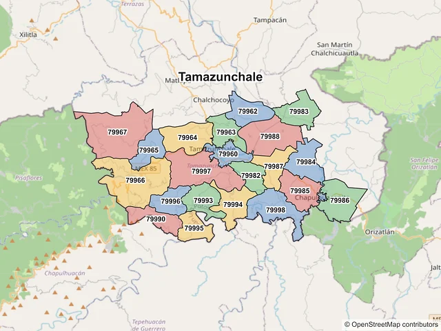 Mapa de códigos postales de Tamazunchale, San Luis Potosí