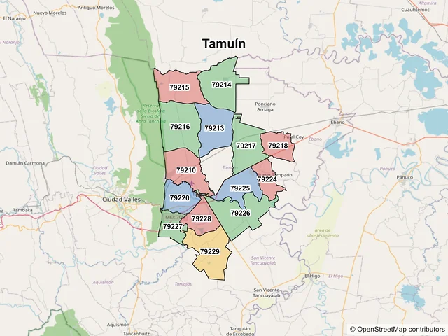 Mapa de códigos postales de Tamuín, San Luis Potosí