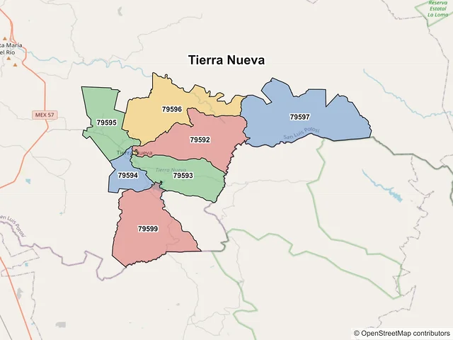 Mapa de códigos postales de Tierra Nueva, San Luis Potosí