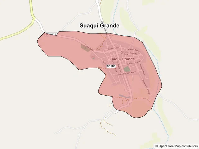 Mapa de códigos postales de Suaqui Grande, Sonora