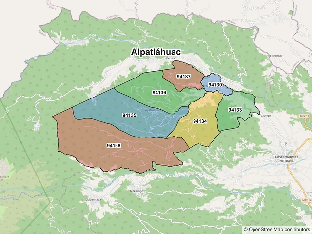 Mapa de códigos postales de Alpatláhuac, Veracruz de Ignacio de la Llave