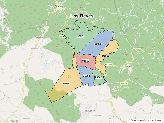 Mapa de códigos postales de Los Reyes, Veracruz de Ignacio de la Llave