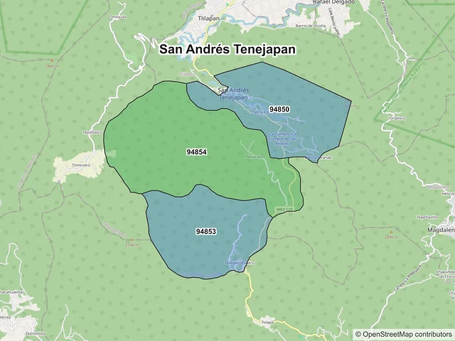 Mapa de códigos postales de San Andrés Tenejapan, Veracruz de Ignacio de la Llave