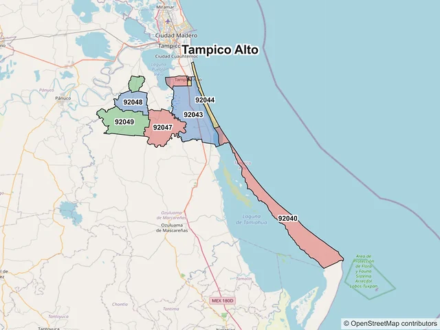 Mapa de códigos postales de Tampico Alto, Veracruz de Ignacio de la Llave