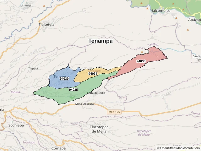 Mapa de códigos postales de Tenampa, Veracruz de Ignacio de la Llave