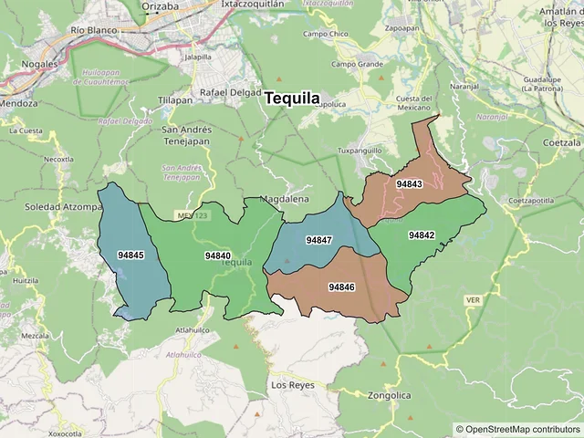 Mapa de códigos postales de Tequila, Veracruz de Ignacio de la Llave