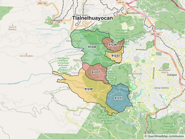 Mapa de códigos postales de Tlalnelhuayocan, Veracruz de Ignacio de la Llave