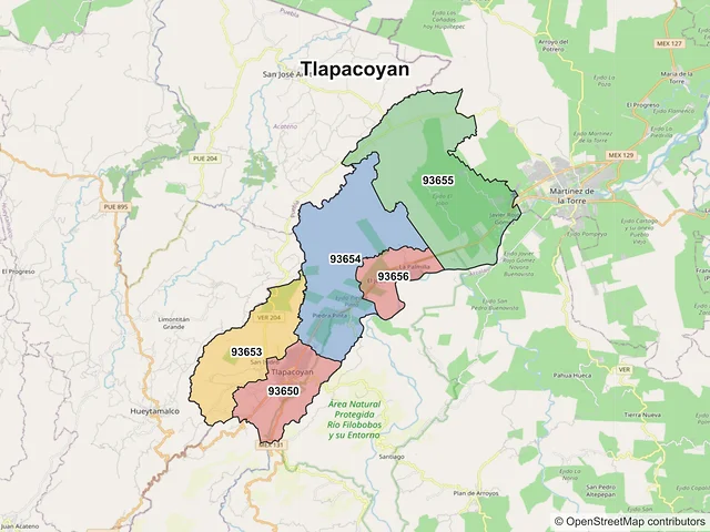 Mapa de códigos postales de Tlapacoyan, Veracruz de Ignacio de la Llave