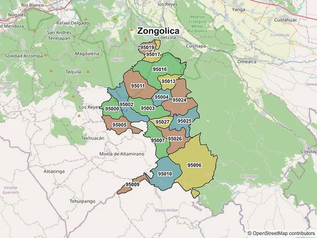 Mapa de códigos postales de Zongolica, Veracruz de Ignacio de la Llave