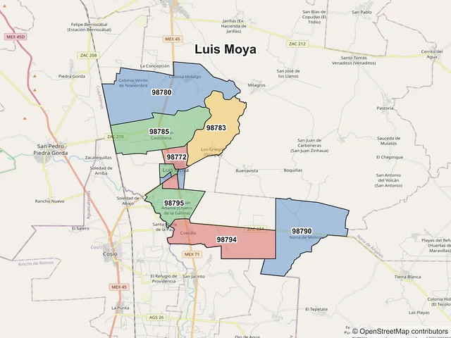 Mapa de códigos postales de Luis Moya, Zacatecas