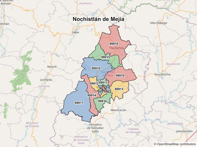Mapa de códigos postales de Nochistlán de Mejía, Zacatecas